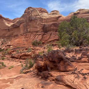 red rocks