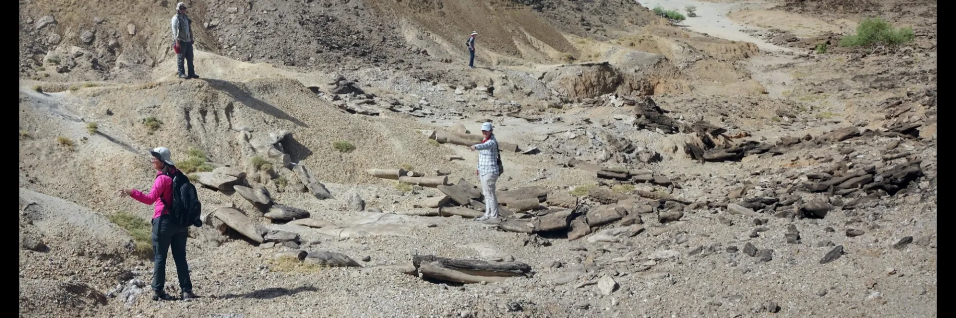 Geologists discussing their surroundings in a streambed
